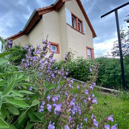 Le Refuge De L'Ours Villa Baerenthal Екстериор снимка