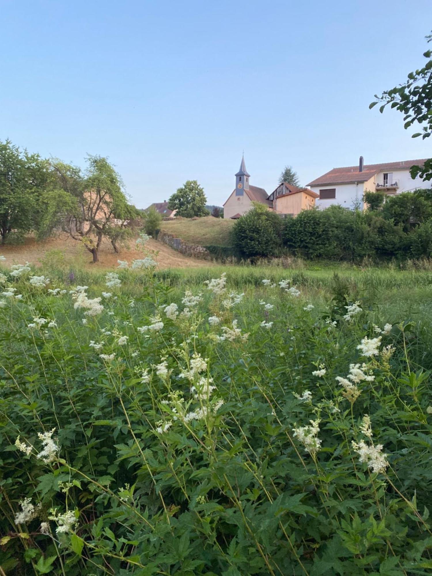 Le Refuge De L'Ours Villa Baerenthal Екстериор снимка