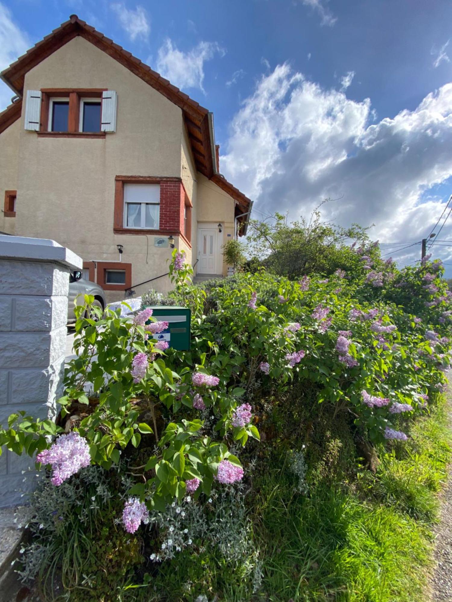 Le Refuge De L'Ours Villa Baerenthal Екстериор снимка
