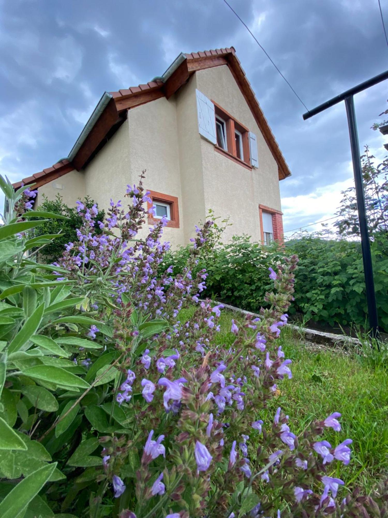 Le Refuge De L'Ours Villa Baerenthal Екстериор снимка