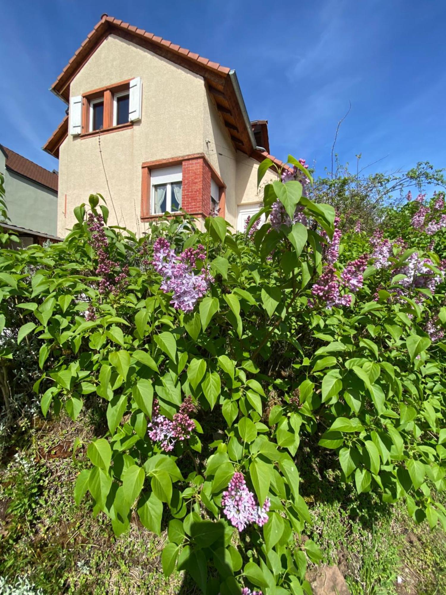 Le Refuge De L'Ours Villa Baerenthal Екстериор снимка