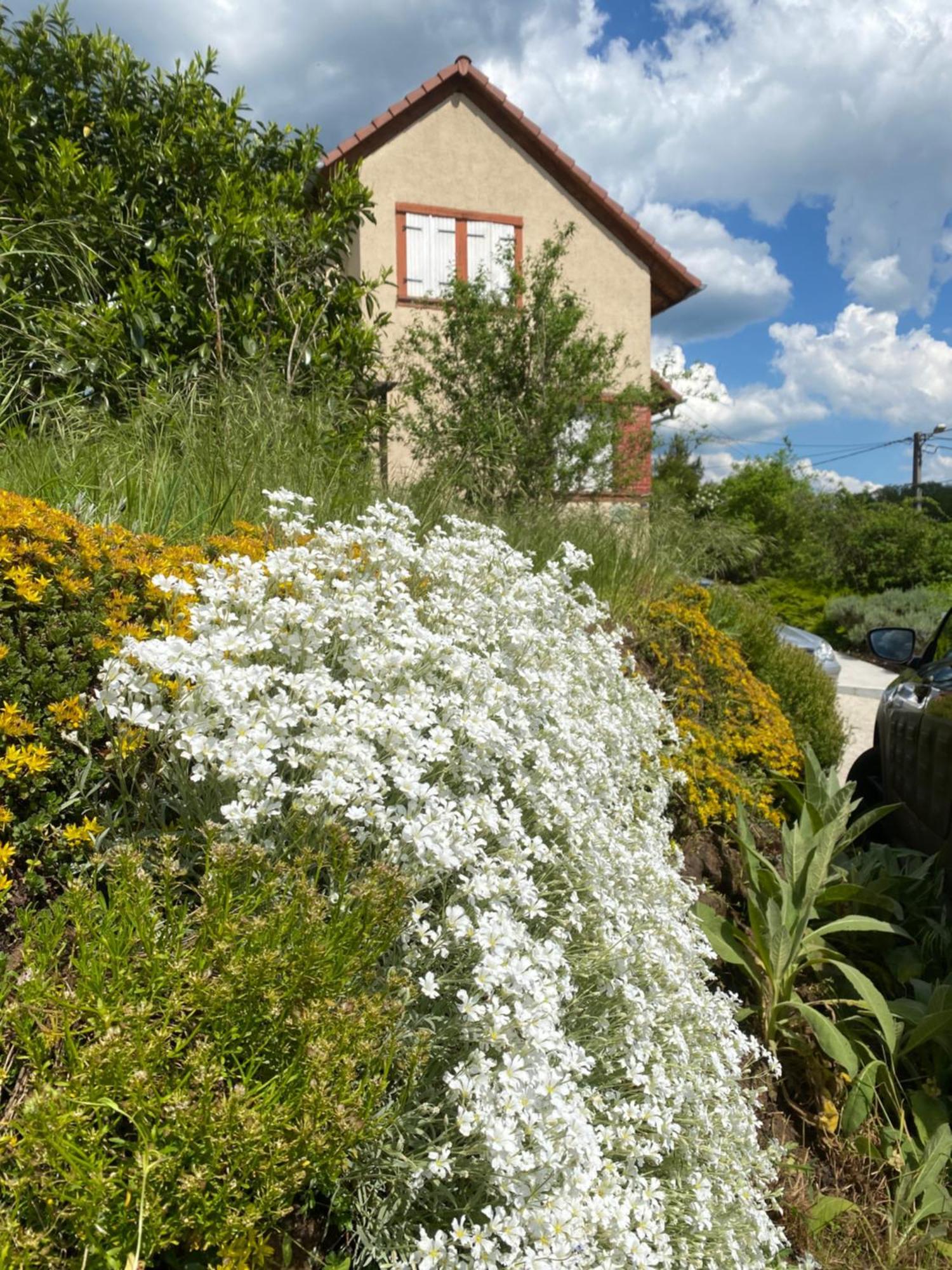 Le Refuge De L'Ours Villa Baerenthal Екстериор снимка