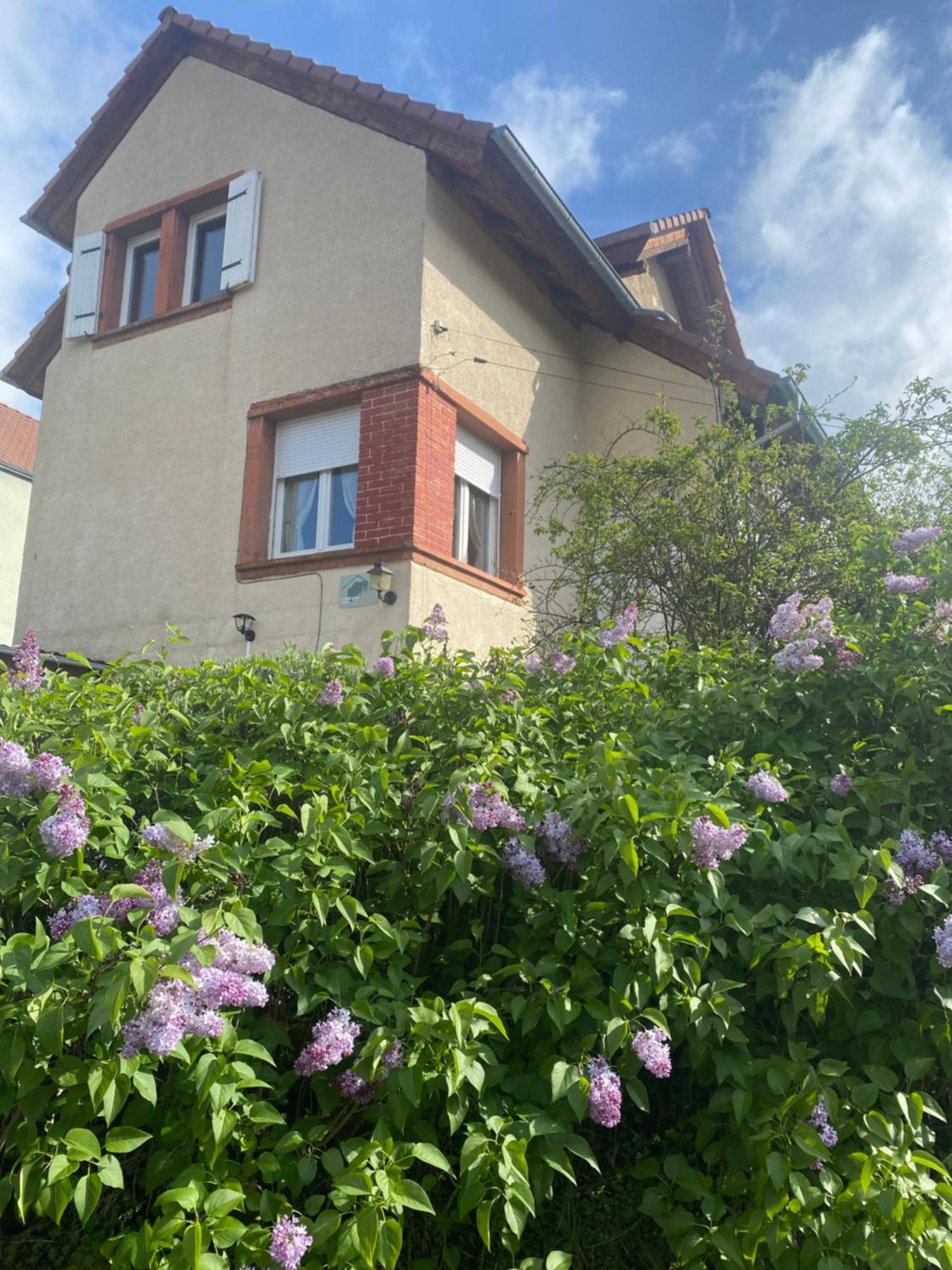 Le Refuge De L'Ours Villa Baerenthal Екстериор снимка