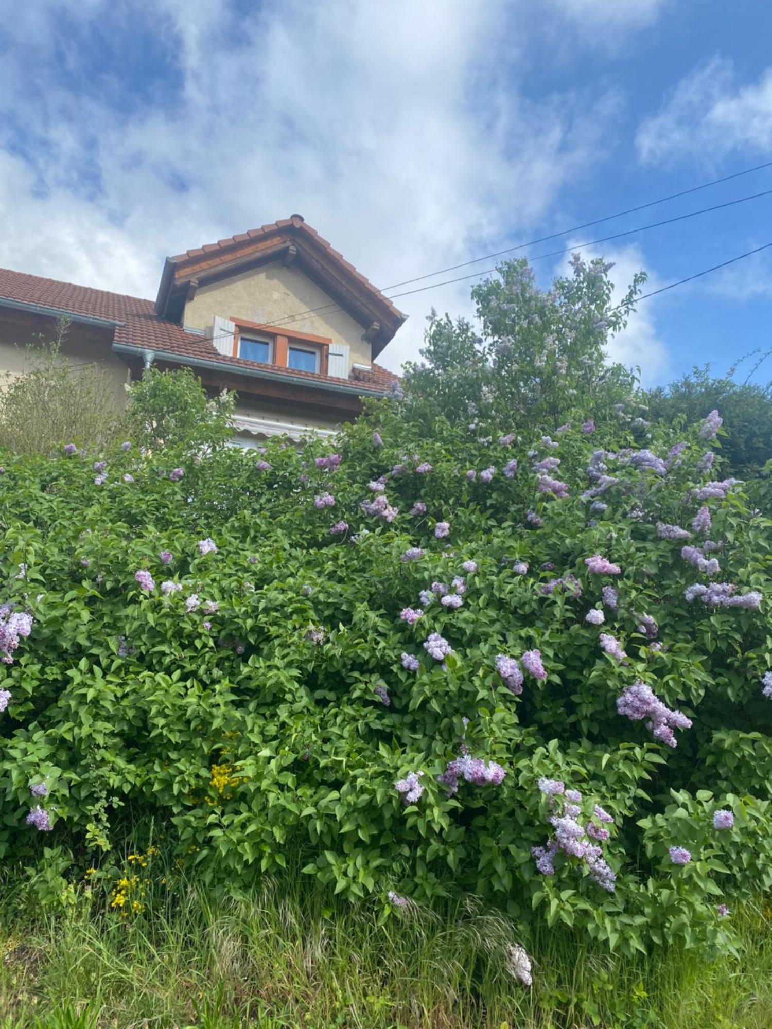 Le Refuge De L'Ours Villa Baerenthal Екстериор снимка